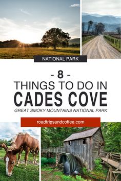 there are many things to do in gads cove, great smoky mountains national park