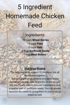 the instructions for how to make homemade chicken feed from scratchsticks and sunflower seeds