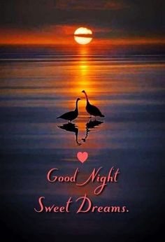 two birds standing in the water at sunset with words good night sweet dreams written on it