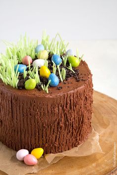 a chocolate cake with grass and eggs on top