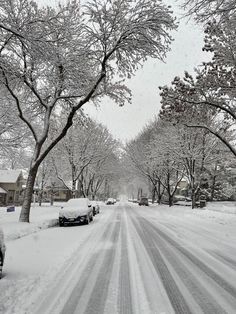 a snowy street with cars parked on the side and trees covered in snow behind them