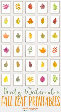 watercolor fall leaf printables for kids to use in their art projects and crafts