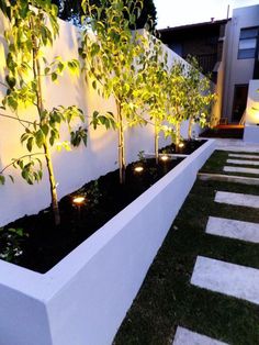 a white wall with some trees in it and lights on the ground next to it