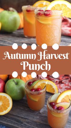 autumn harvest punch with oranges, apples and cranberries