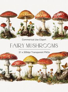 Mushrooms And Butterflies, Mushroom Watercolor, Butterflies Clipart, Watercolor Mushroom, Forest Crafts, Forest Clipart, Mushroom Clipart, Woodland Clipart, Toadstool Mushroom