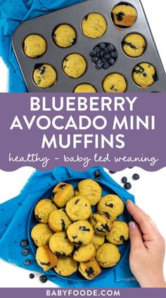 blueberry avocado mini muffins in a muffin pan with text overlay