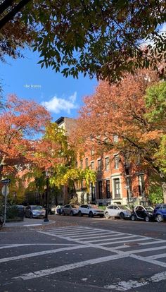 an empty street with parked cars and trees