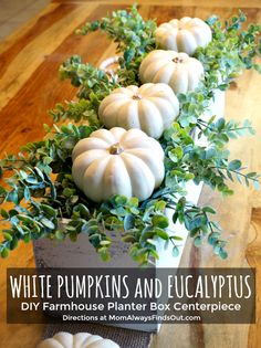 white pumpkins and eucalyptus planter box centerpiece