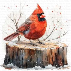 a watercolor painting of a red bird sitting on top of a piece of wood