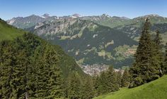 the mountains are covered in green grass and trees