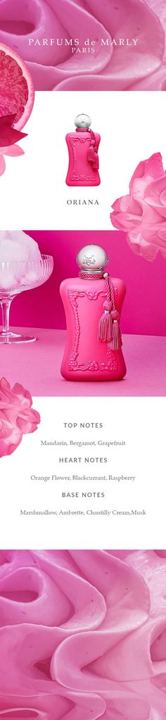 Infographic with the perfume notes of Oriana perfume for women Chantilly Cream, Out Of Your Mind, Luxury Perfume, Orange Blossom, Rose Bouquet, Raspberry, Scents