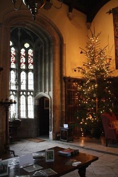 a living room with a christmas tree in the center and lights on the windows behind it