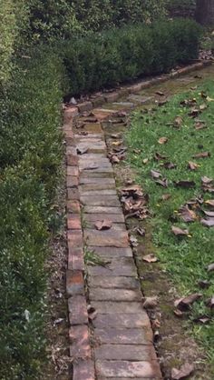 a brick path in the middle of a grassy area