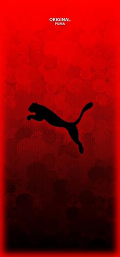 a red background with a black cat silhouette on the left side and an image of a puma on the right side