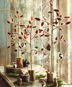 two small trees with red and white leaves on them, sitting on a table in front of a window