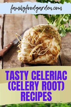 an image of tasty celery root recipe with text overlay that reads tasty celeriac celery root recipes