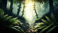 the sun shines through the trees and leaves in this forest scene with ferns on the ground