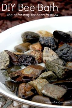 a bowl full of rocks and water with the words diy bee bath on it