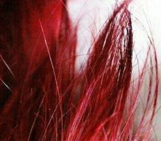 red hair is shown in this close up photo