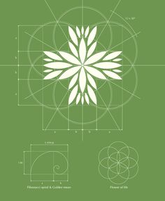 a green poster with white flowers and lines in the center, on a green background