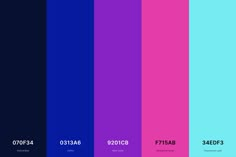 an image of the color scheme for different types of colors in various styles and sizes