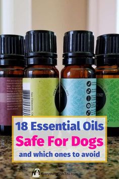 Essential Oils For Puppies, Diy Pet Care Products, Essential Oils For Dogs Odor, Pet Safe Essential Oils, Essential Oils And Dogs, Diy Dog Cologne, Pet Friendly Essential Oil Blends