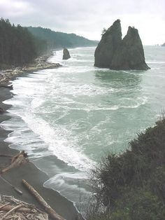 an ocean view with rocks in the water and trees on the beach near by,