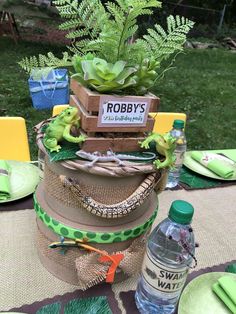 a table topped with lots of green plants next to a bottle of water and plates