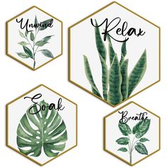 four hexagons with leaves and words on them