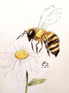 a drawing of a bee flying over a flower