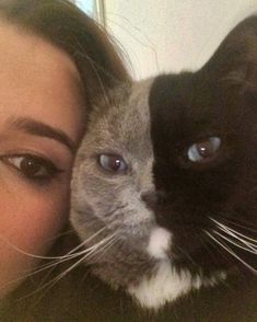 a woman holding a cat up to her face and looking at the camera with blue eyes