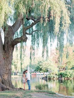 an engaged couple standing under a tree by the water