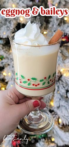 Baileys Eggnog Recipe, Christmas Breakfast Drinks, Baileys Cocktail, Baileys Recipes Drinks, Eggnog Cocktail Recipe, Eggnog Recipe Spiked, Homemade Liqueur, Alcoholic Eggnog, Liqueur Recipes