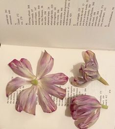 three flowers are placed on top of an open book