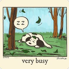 a drawing of a dog laying in the grass with a speech bubble above it that says, very busy