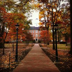 the walkway is lined with trees and leaves in front of a brick building on a fall day