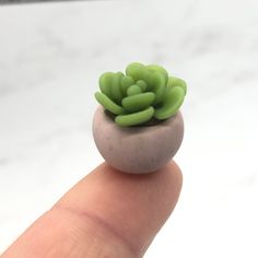 a tiny succulent plant sitting on top of a rock in someone's finger