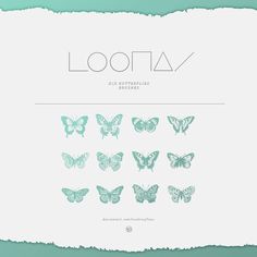 the cover art for lootia's new album, featuring blue butterflies on white paper