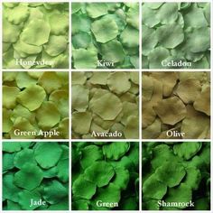 the different colors of leaves are shown in this image, and there is also a color chart for each leaf