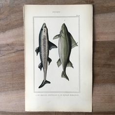 an old book with two fish on it