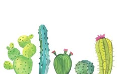 watercolor painting of cactuses and succulents