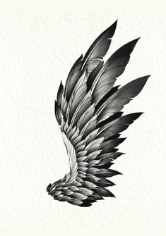 a black and white drawing of a wing