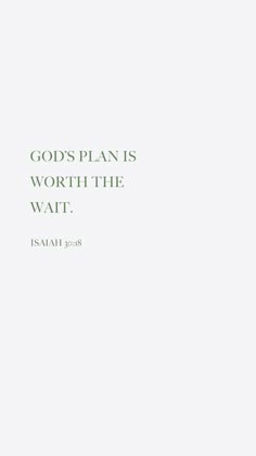 an image of a book with the title god's plan is worth the wait