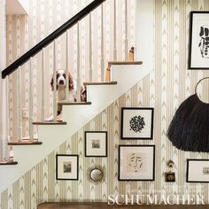 there is a dog sitting on the stairs next to pictures and framed photographs in this house