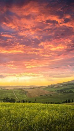 the sun is setting over an expansive green field