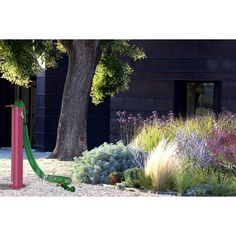 some purple and green plants next to a tree in front of a black building on a sunny day