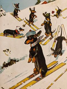 an image of a dog skiing down the hill with other dogs on skis and snowboards