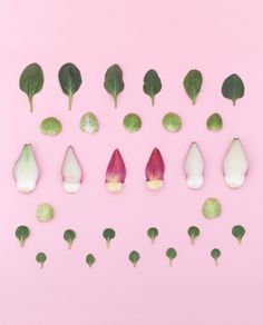 several different types of flowers and leaves on a pink background