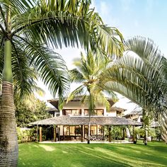 the house is surrounded by palm trees and lush green grass