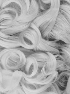 black and white photograph of blonde hair with curls on it's sides, top view